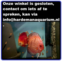 Voorbeeld - kopie (3) - kopie